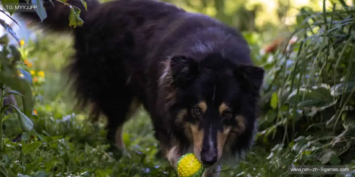 🔥赛事激情,一键点燃你的热血时刻!⚽